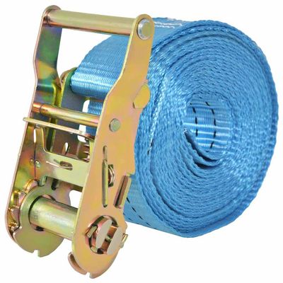 Cinghie d'Ancoraggio 4 pz a Cricchetto 2 T 6mx38mm Blu vidaXL