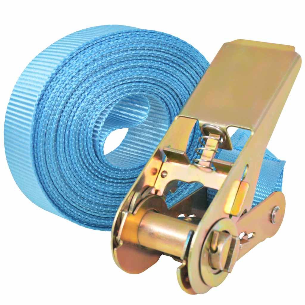 Cinghie d’Ancoraggio 4 pz a Cricchetto 0,8 T 6mx25mm Blu vidaXL