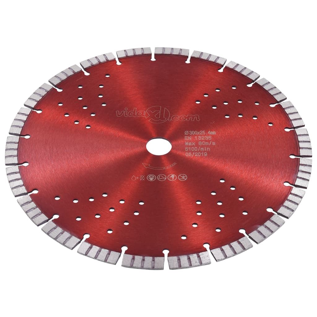 Disco da Taglio Diamantato con Turbo e Fori in Acciaio 300 mm vidaXL