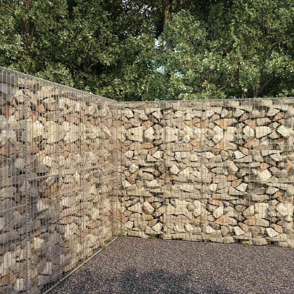 Gabbione con Copertura in Acciaio Zincato 300x50x200 cm vidaXL