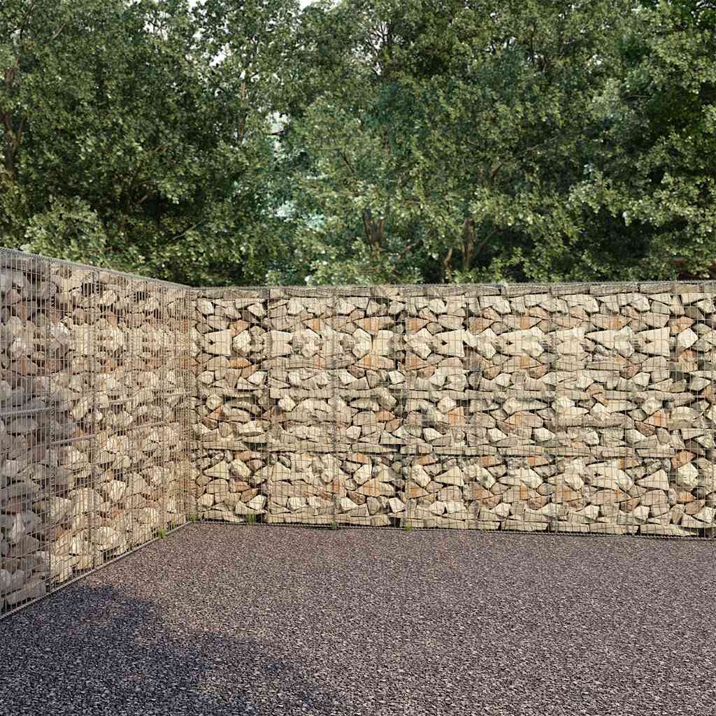 Gabbione con Copertura in Acciaio Zincato 900x50x200 cm vidaXL
