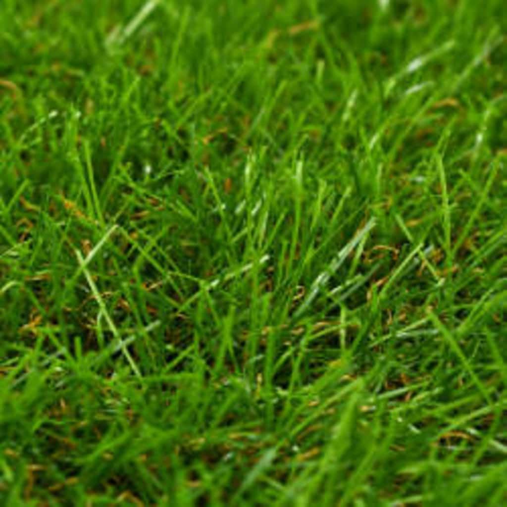Erba Artificiale 1x15 m/40 mm Verde vidaXL