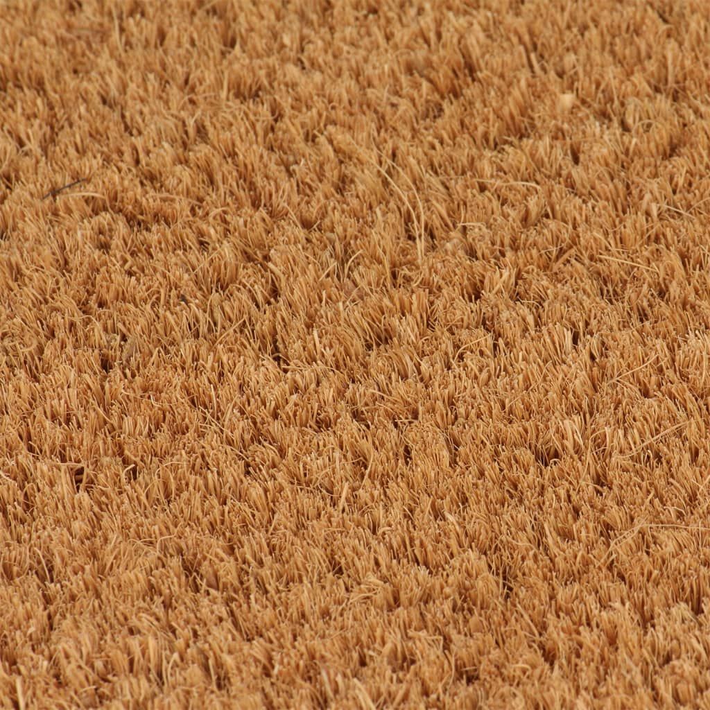 Zerbino Naturale 40x60 cm Fibra di Cocco vidaXL