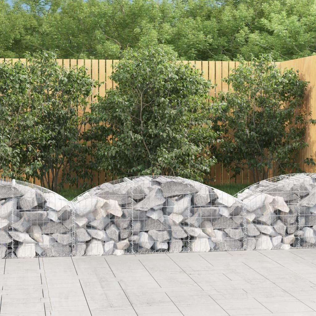 Cesto Gabbione ad Arco 150x50x40/60 cm Ferro Zincato vidaXL