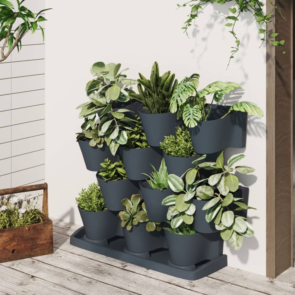 Set per Piante Giardino Verticale 12 pz Antracite Polipropilene vidaXL