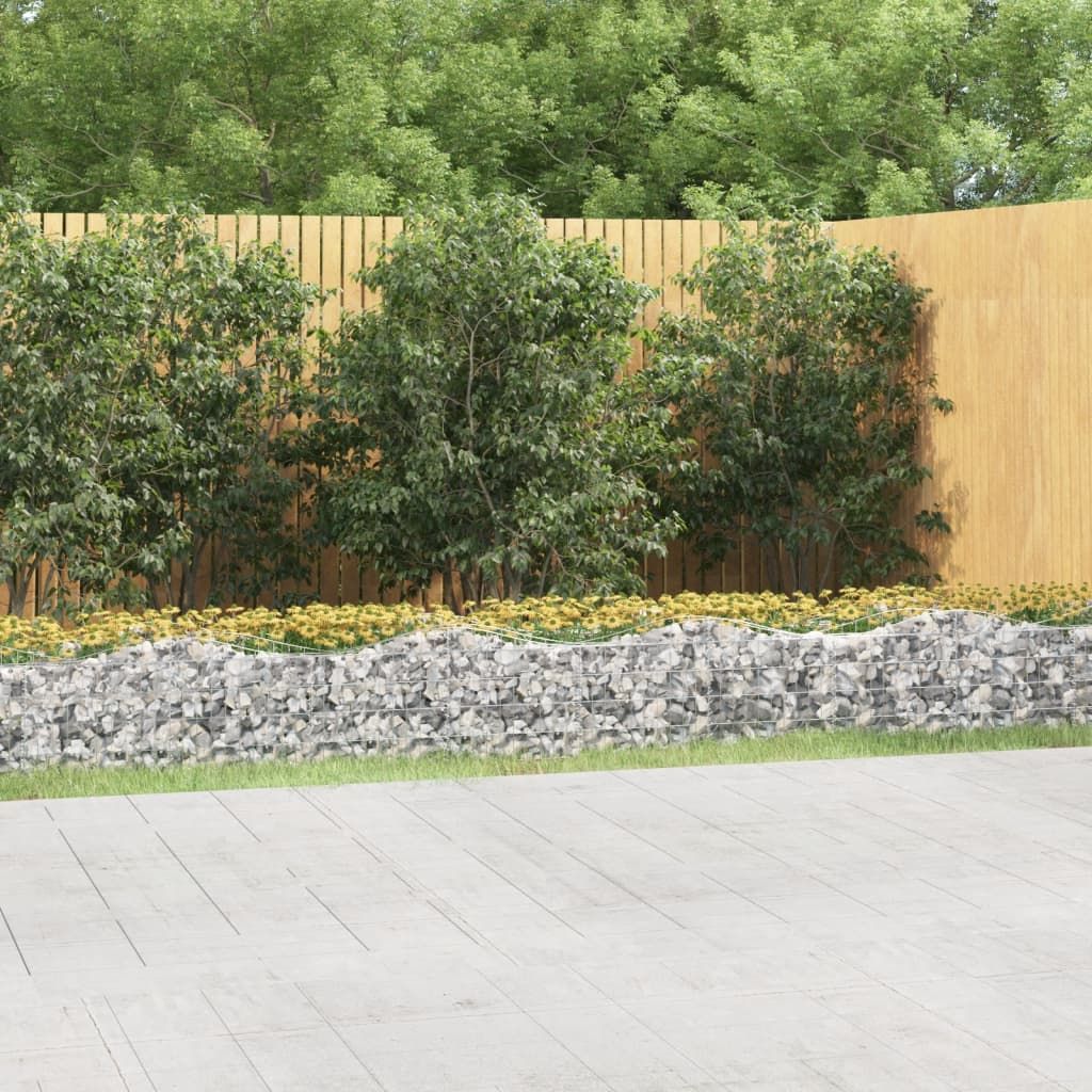 Gabbione ad Arco con Letto Rialzato 600x100x50 cm Ferro Zincato vidaXL