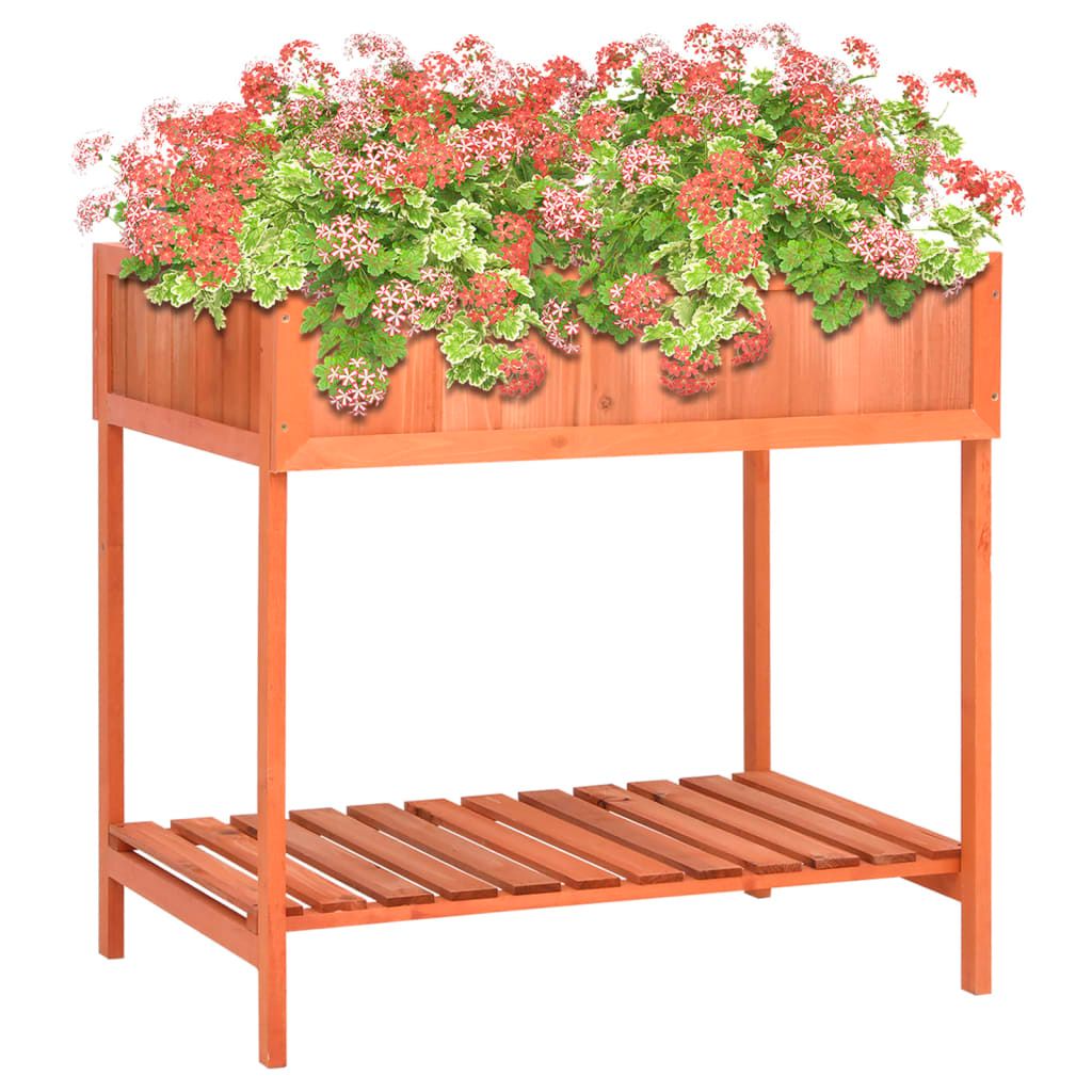 Fioriera per Erbe Aromatiche 80x60x80cm Legno Massello di Abete vidaXL