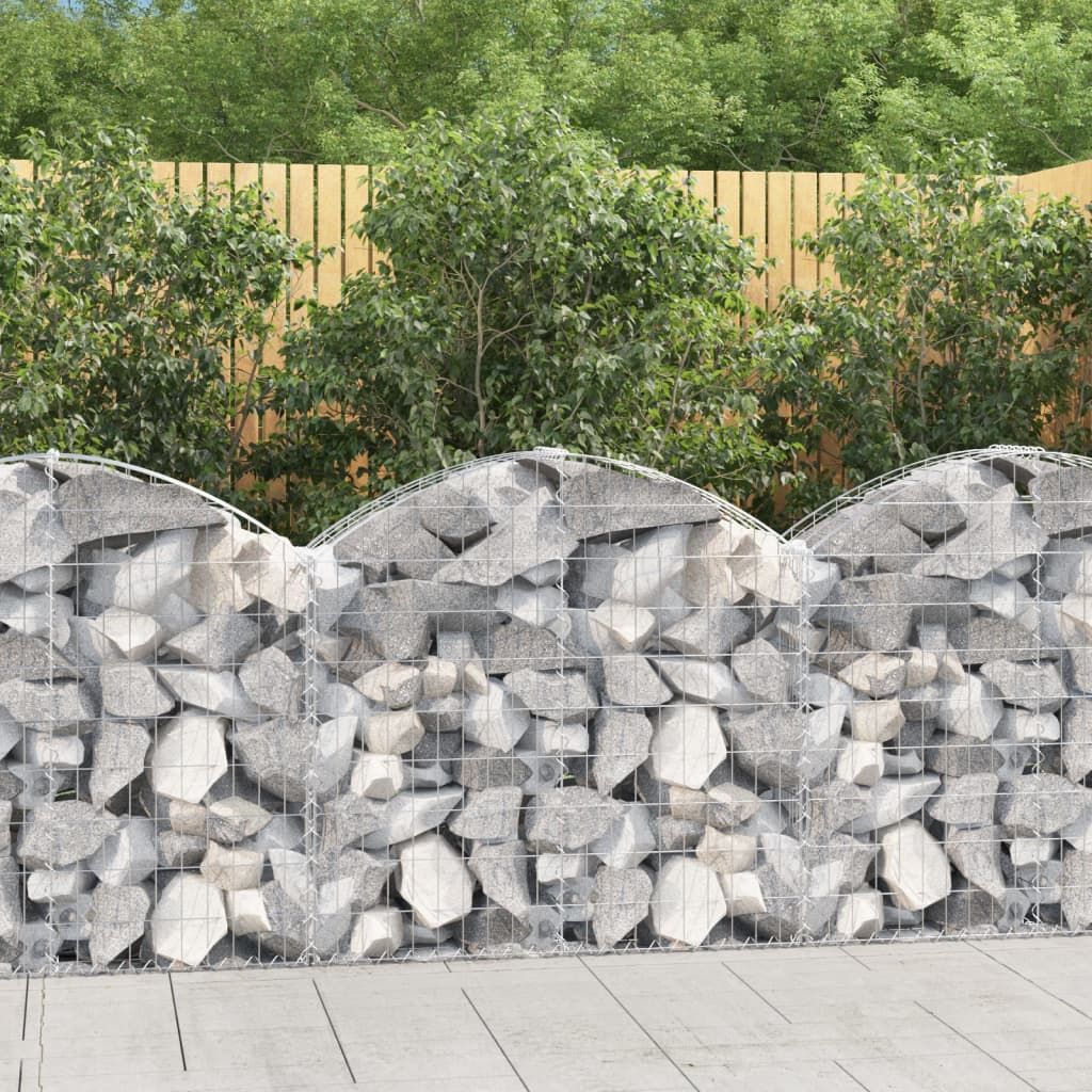 Cesto Gabbione ad Arco 100x30x80/100 cm Ferro Zincato vidaXL