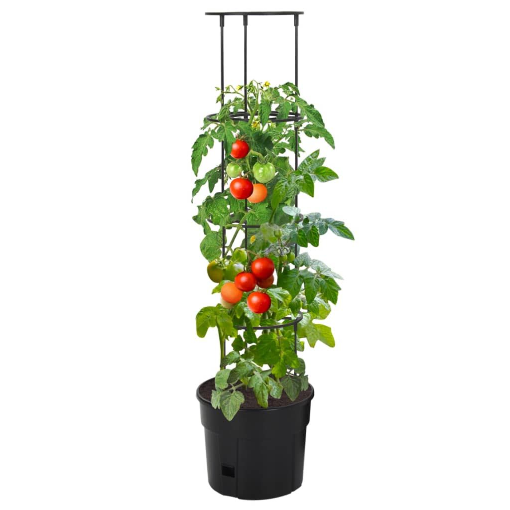 Vaso a Torre per Pomodori Antracite Ø29,5x115 cm Polipropilene vidaXL