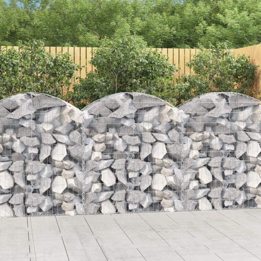 Cesto Gabbione ad Arco 100x50x100/120 cm Ferro Zincato vidaXL