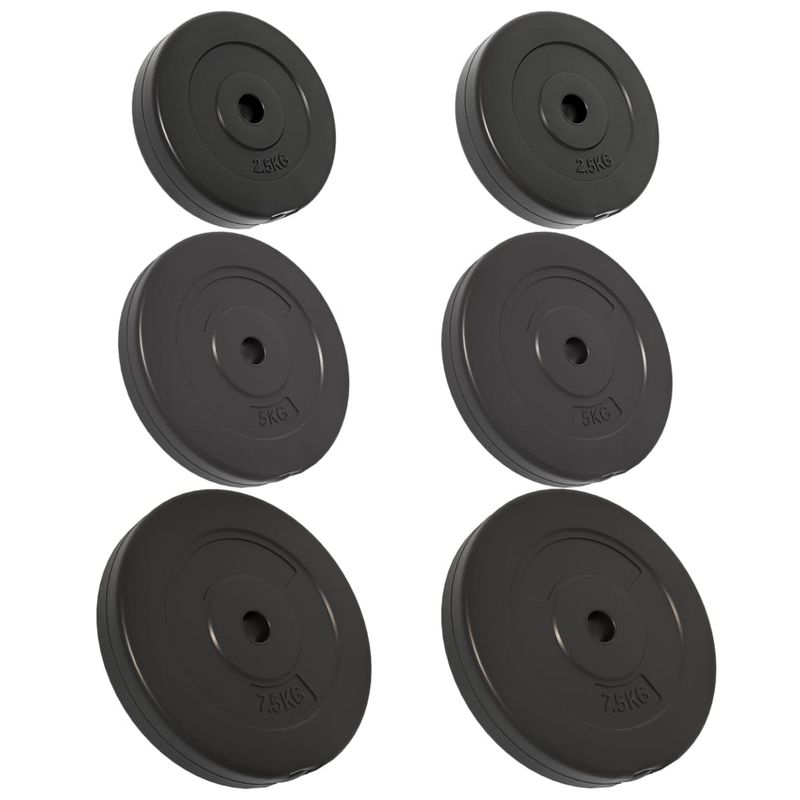 Dischi per Pesi 6 pz 30 kg in Cemento vidaXL