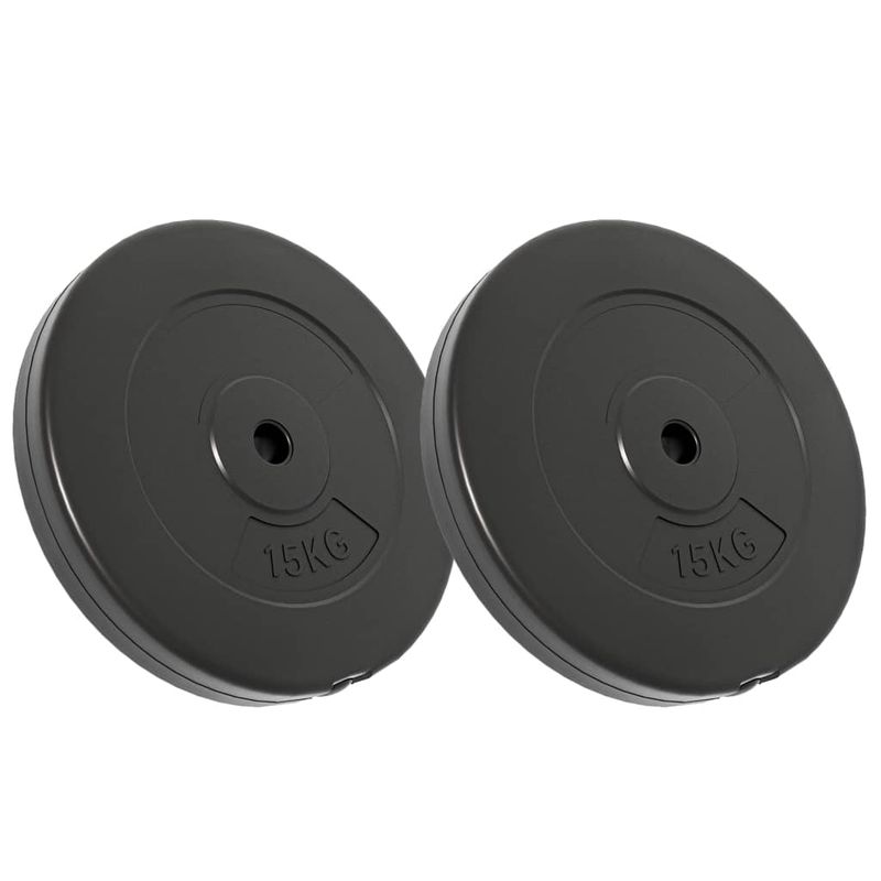 Dischi per Pesi 2 pz 30 kg in Cemento vidaXL