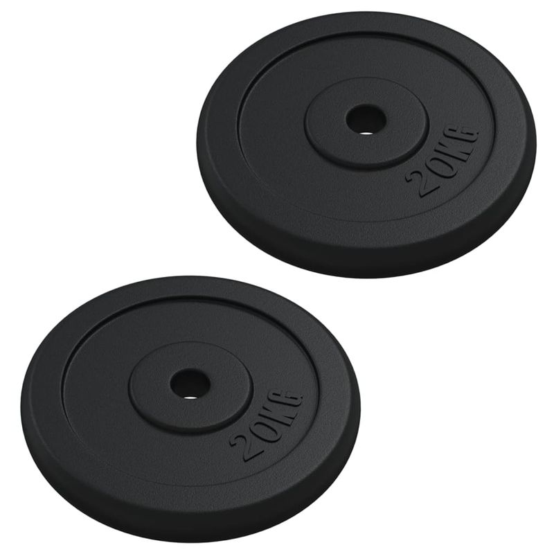 Disco per Pesi 40 kg in Ghisa vidaXL