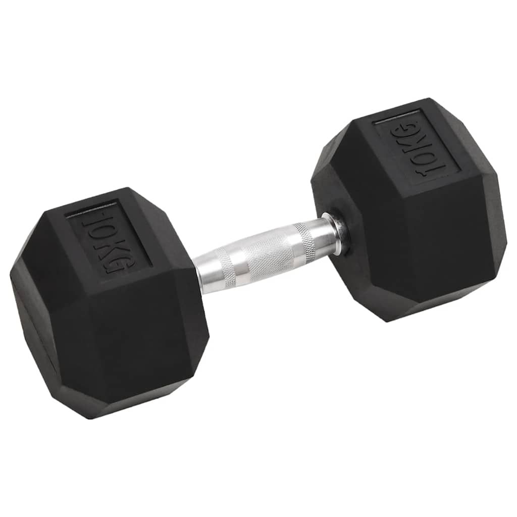 Manubri 2 pz 20 kg Totale in Ghisa vidaXL