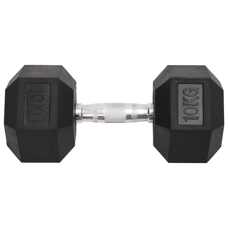 Manubri 2 pz 20 kg Totale in Ghisa vidaXL