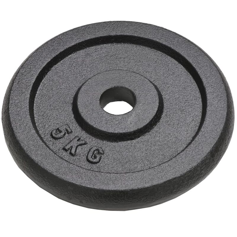 Dischi per Pesi 4 pz 4x5 kg in Ghisa vidaXL
