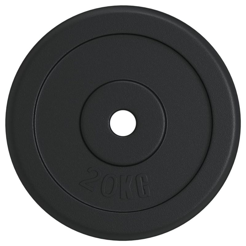Disco per Pesi 20 kg in Ghisa vidaXL