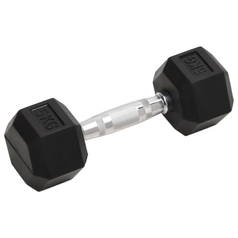 Manubri 2 pz 10 kg Totale in Ghisa vidaXL