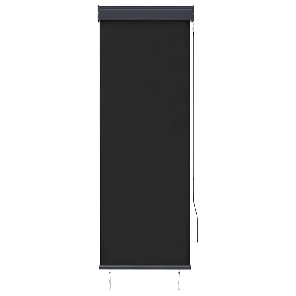 Tenda a Rullo per Esterni 60x250 cm Antracite vidaXL