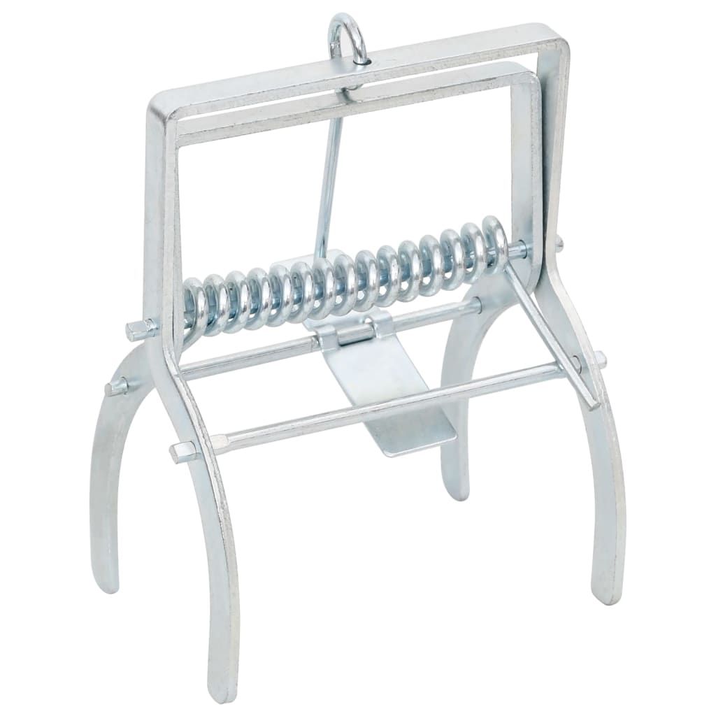 Trappole per Talpe 4 pz Argento Acciaio Zincato vidaXL