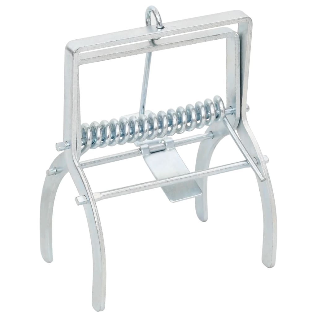 Trappole per Talpe 10 pz Argento Acciaio Zincato vidaXL