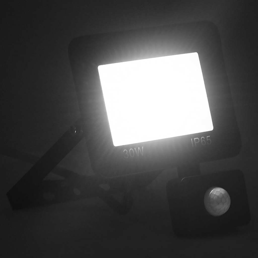 Faretto a LED con Sensore 30 W Bianco Caldo vidaXL