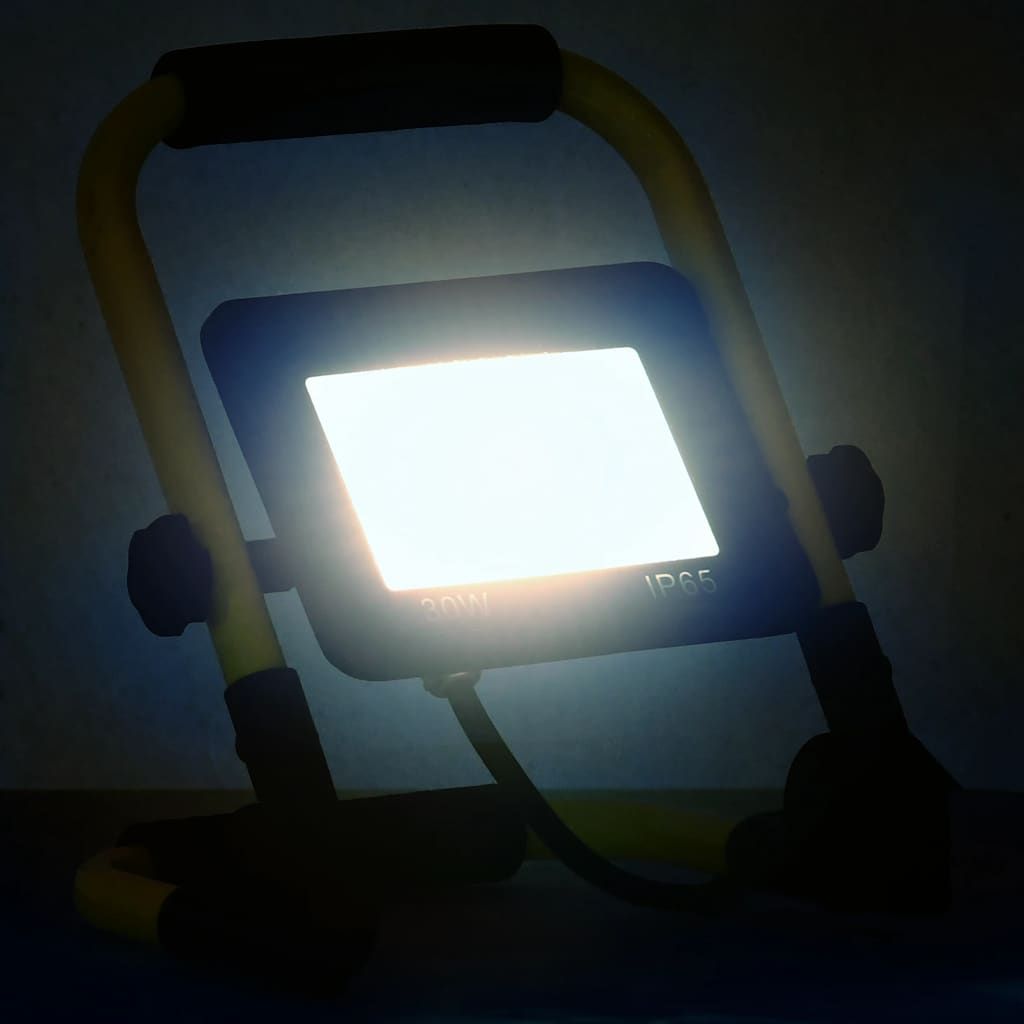 Faretto a LED con Maniglia 30 W Bianco Freddo vidaXL