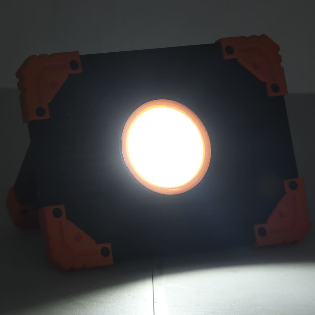 Faretto a LED Portatile in ABS 10 W Bianco Freddo vidaXL