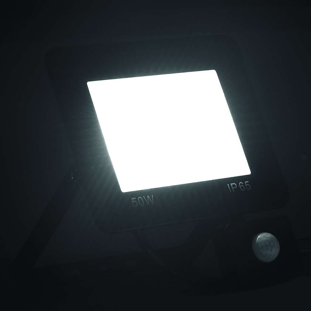 Faretto a LED con Sensore 50 W Bianco Freddo vidaXL