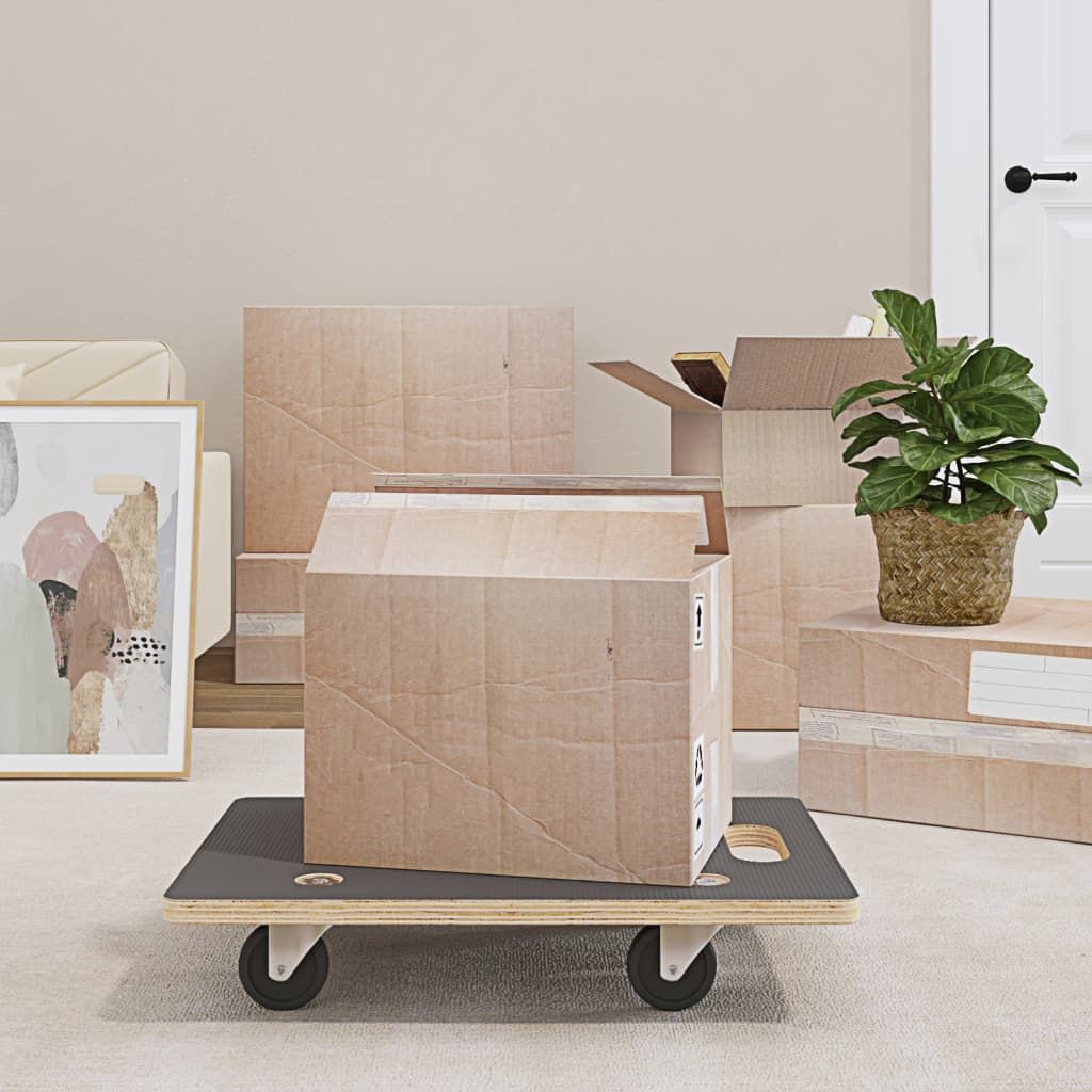 Pedane di Trasporto 2 pz Rettangolari 60x40x11,5 cm 250 kg vidaXL