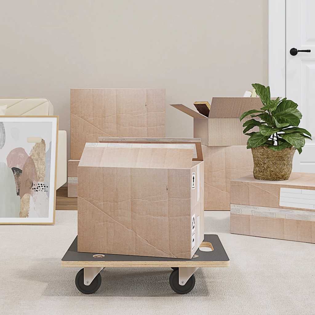 Pedane di Trasporto 2 pz Rettangolari 50x35x11,5 cm 250 kg vidaXL