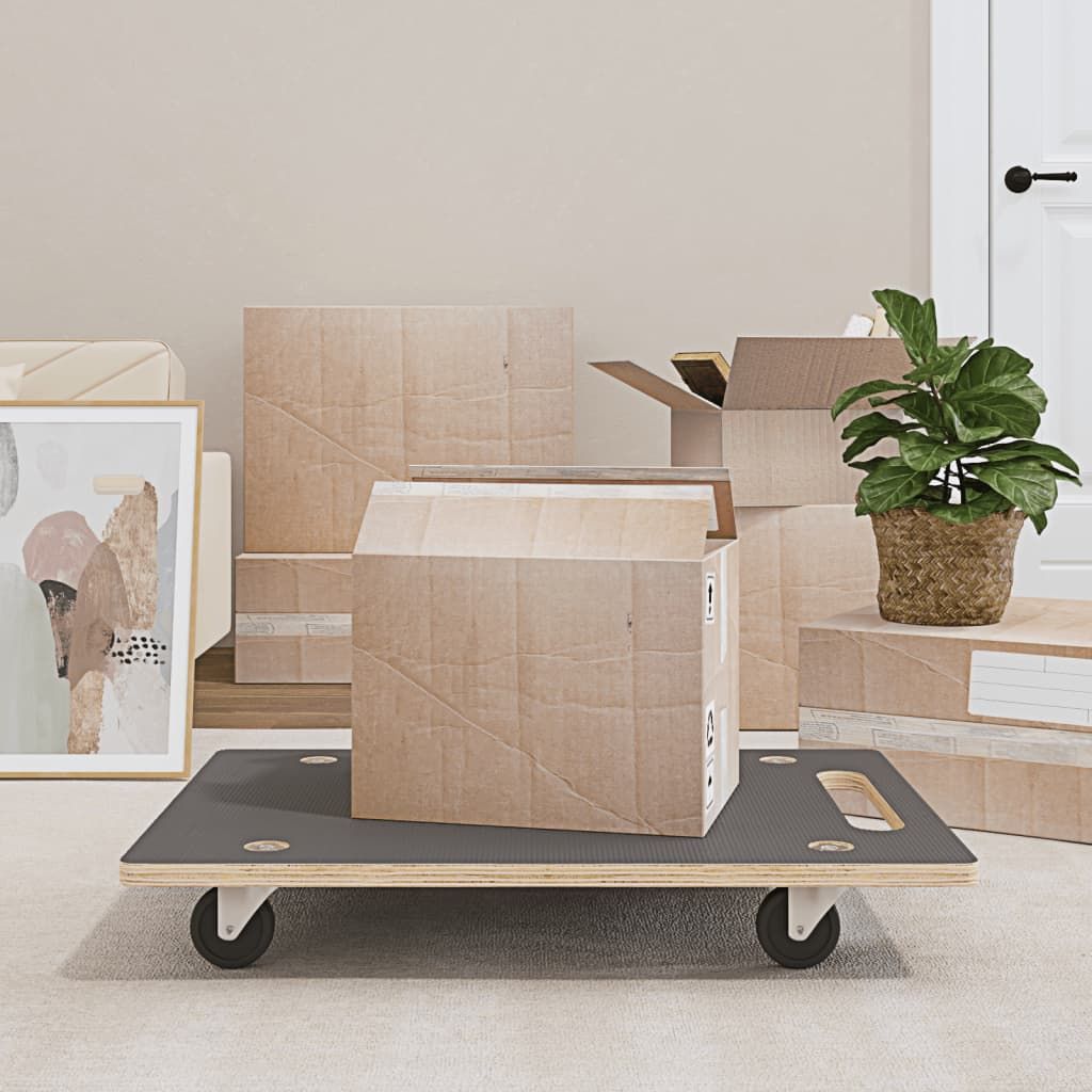 Pedane di Trasporto 2 pz Rettangolari 80x55x11,5 cm 250 kg vidaXL