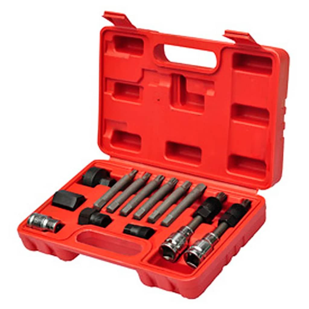 Kit di Attrezzi per Alternatore Auto vidaXL