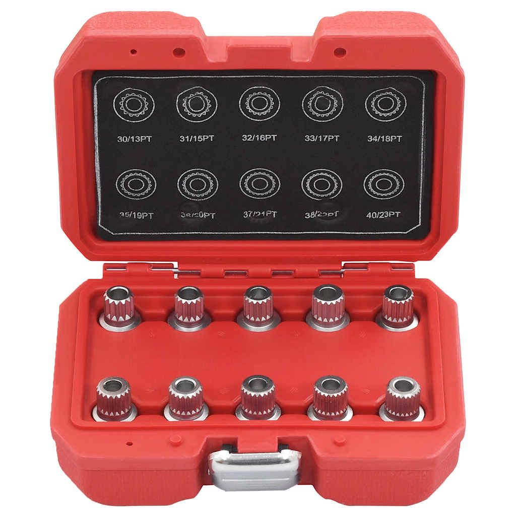 Set Chiavi Dado Ruota di Bloccaggio 10 pz per BMW vidaXL