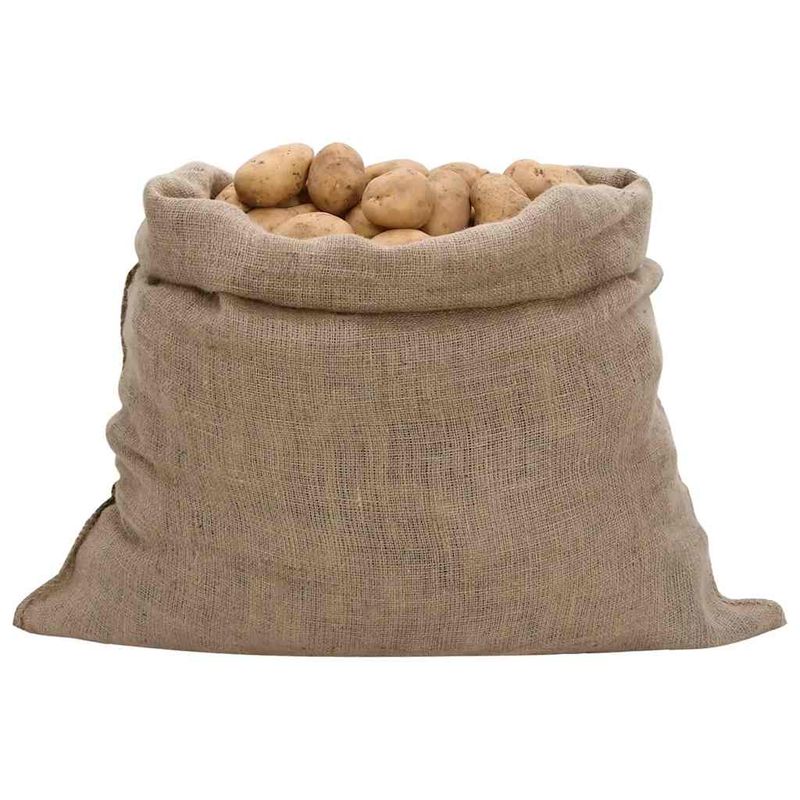 Sacchi di Iuta 10pz 100x110 cm 100% Iuta 220 gsm vidaXL
