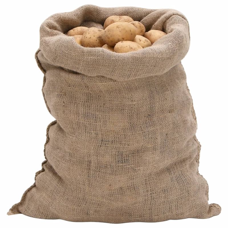 Sacchi di Iuta 10pz 60x105 cm 100% Iuta 220 gsm vidaXL
