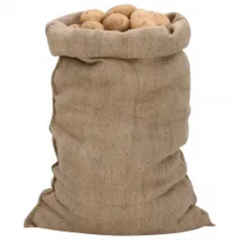 Sacchi di Iuta 30pz 60x105 cm 100% Iuta 340 gsm vidaXL