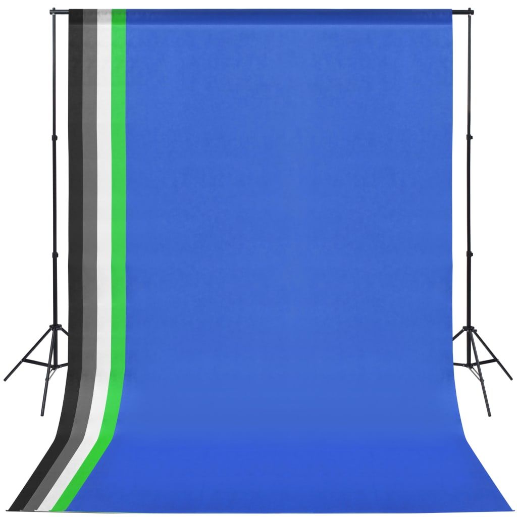 Kit per Studio Fotografico con Luce Softbox e Fondali vidaXL