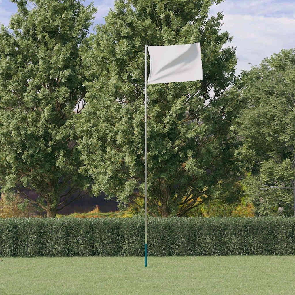 Asta Telescopica per Bandiere Argento 5,5 m in Alluminio vidaXL