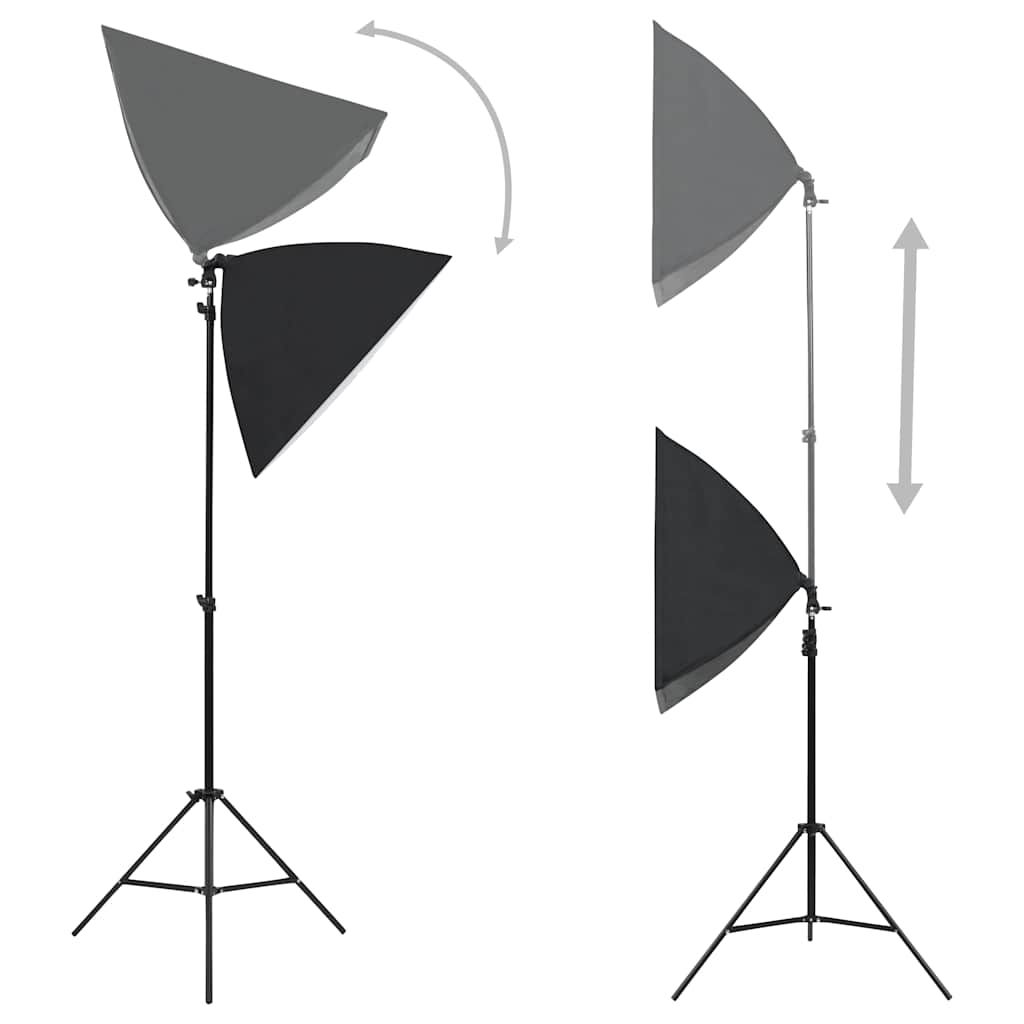 Luci Professionali da Studio 2 pz 40x60 cm in Acciaio Nero vidaXL