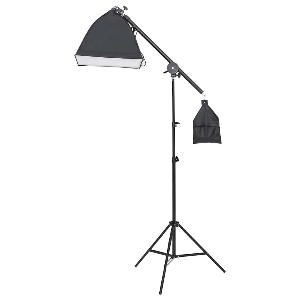 Kit di Illuminazione da Studio con Treppiedi e Softbox vidaXL