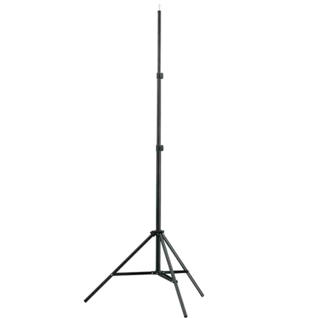 Set di Luci per Set Fotografico con Stativi e Ombrelli vidaXL