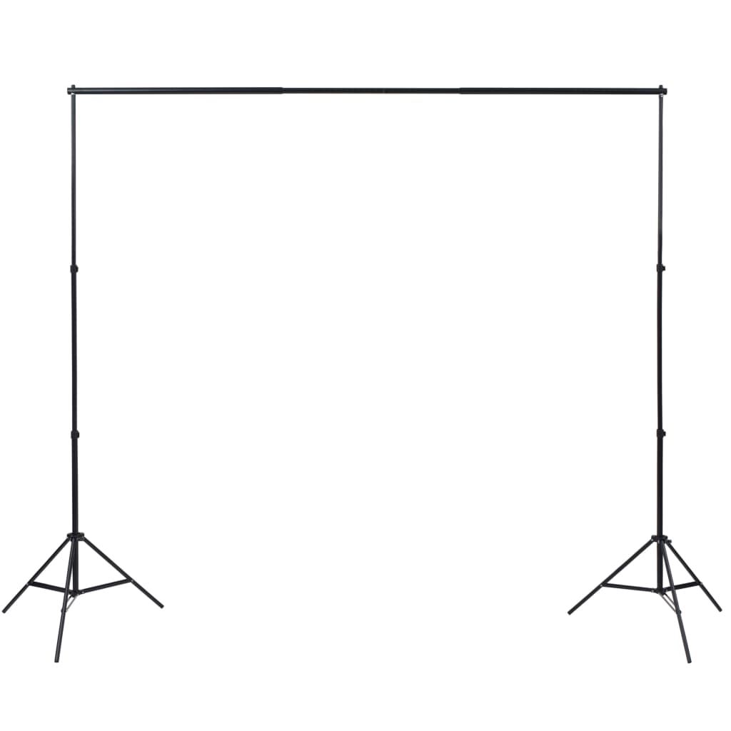Kit Studio Fotografico con Luci Ombrelli Fondale e Riflettore vidaXL