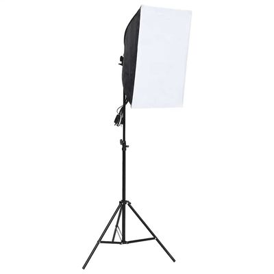 Kit per Studio Fotografico con Luce Softbox e Fondale vidaXL