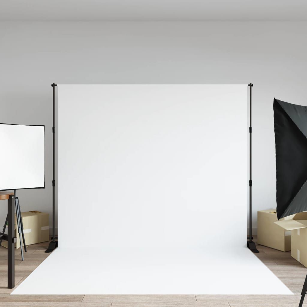 Supporto per Fondale 254x243 cm in Acciaio vidaXL