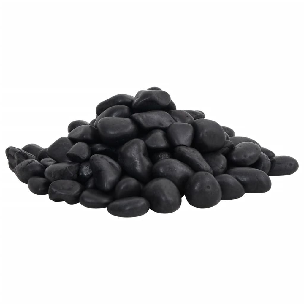 Ciottoli Levigati 10 kg Neri 2-5 cm vidaXL