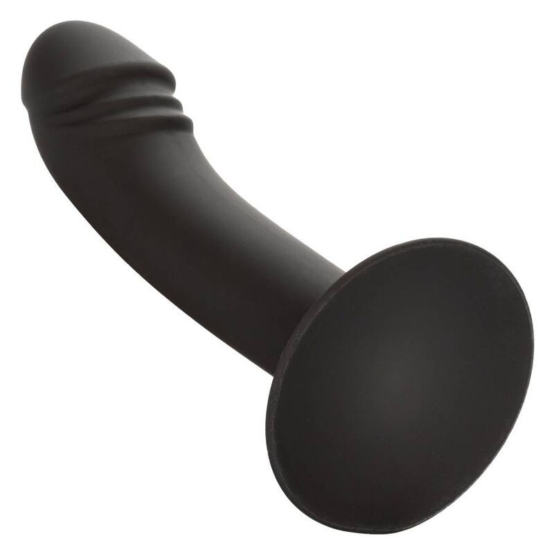 CALEXOTICS - STUDIO ANALE CURVO CALEXOTICS