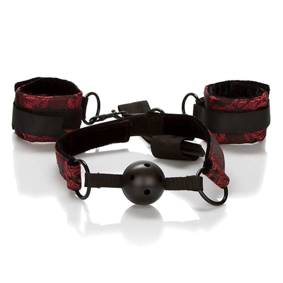 CALEXOTICS - SCANDAL BALL GAG TRASPIRANTE CON MANETTE CALEXOTICS