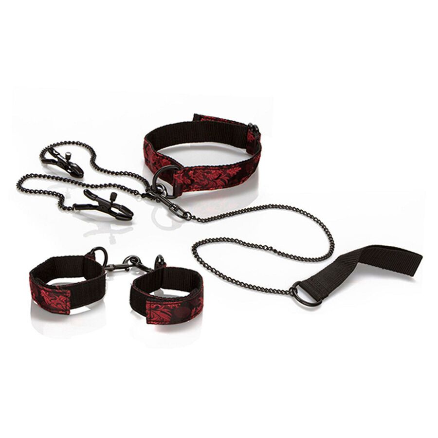 CALEXOTICS - SCANDAL KIT PER LA PRESENTAZIONE CALEXOTICS