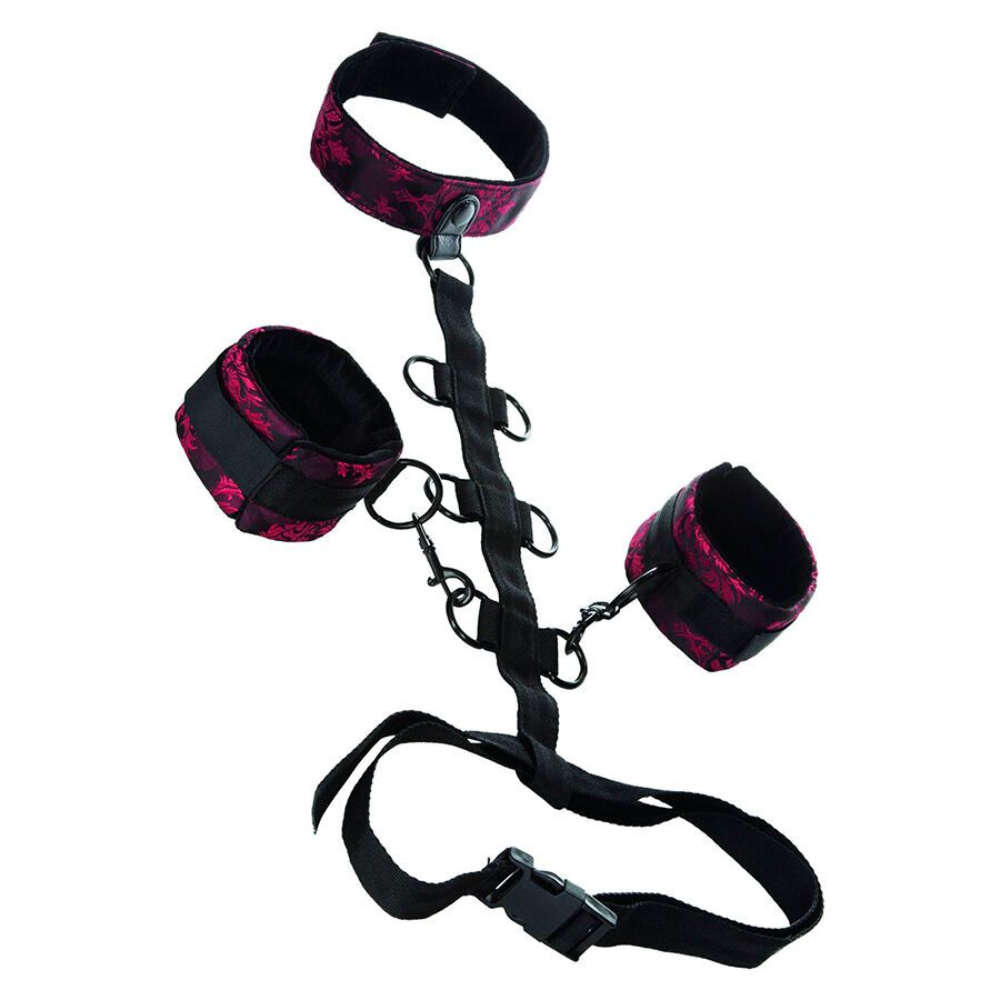 CALEXOTICS - SCANDAL COMPORAL SUPPORT CON COLLO CALEXOTICS